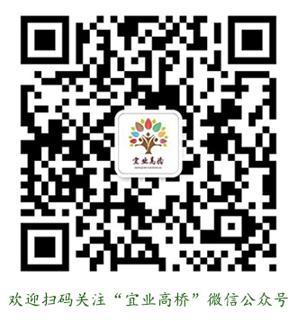 使用手机微信扫码添加关注